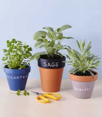 DIY Planters That’ll Totally Transform Your Garden